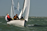 2012 Thistle Midwinters B 725