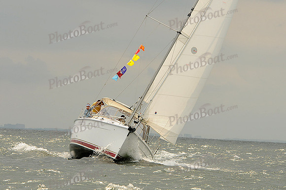 2012 Cape Charles Cup A 995
