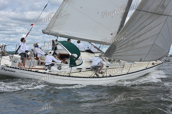 2021 Vineyard Race A 0285