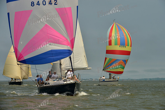 2016 Southern Bay Race Week B_0155