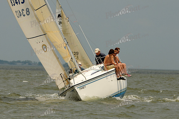 2012 Southern Bay Race Week A 1319