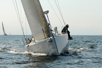 2011 Vineyard Race A 1449