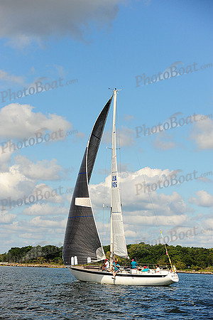 2014 Denmark Race B 568