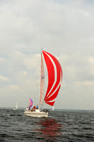 2013 Vineyard Race A 283