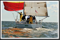 proof_2010_Vineyard_Race_1124