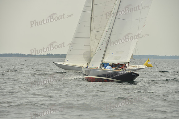 2016 Chester Race Week E_0148