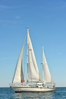 Brevis