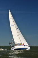 2014 Southern Bay Race Week D 311