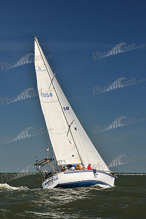 2014 Southern Bay Race Week D 311