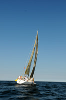2011 Vineyard Race A 2110