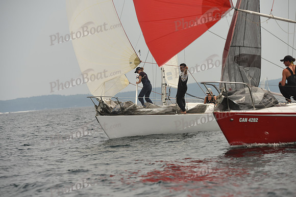 2016 Chester Race Week D_0259
