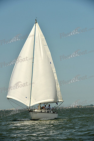 2015 Southern Bay Race Week A 1649