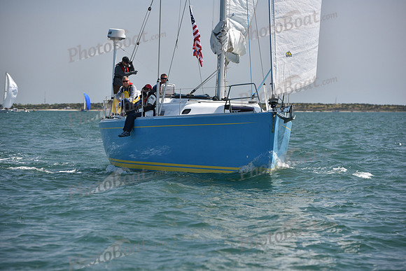 2019 Figawi_0950