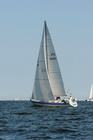 2011 Vineyard Race A 903