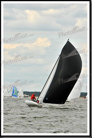 proof_2010_EScows_B 539