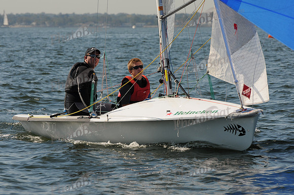 2011 HPDO A 1119