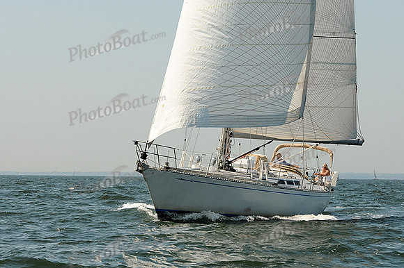 2012 Vineyard Race A 402
