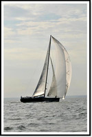 proof_2010 Block Island Race 976
