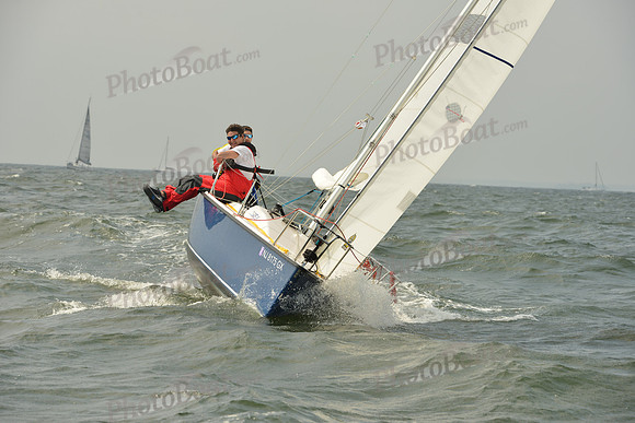 2015 Vineyard Race A 315