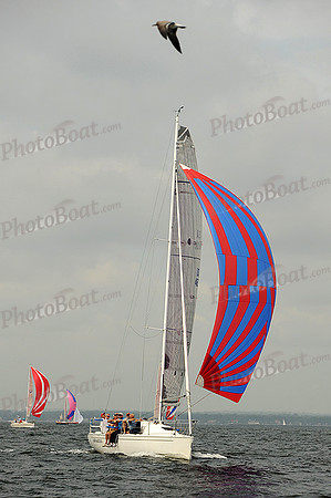 2013 Vineyard Race A 210