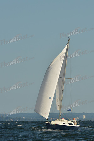 2015 Vineyard Race C 112
