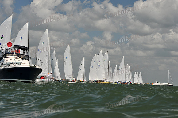 2012 Thistle Midwinters C 539