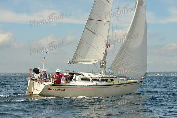2015 Denmark Race A 245