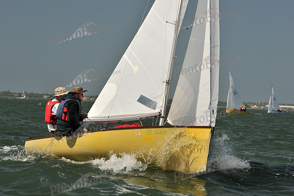 2012 Thistle Midwinters B 849