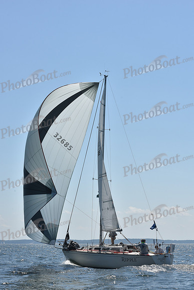 2020 Vineyard Race A_0443