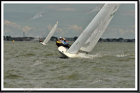 proof_2010_EScows_B 823