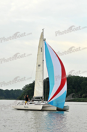 2013 Gov Cup C 344
