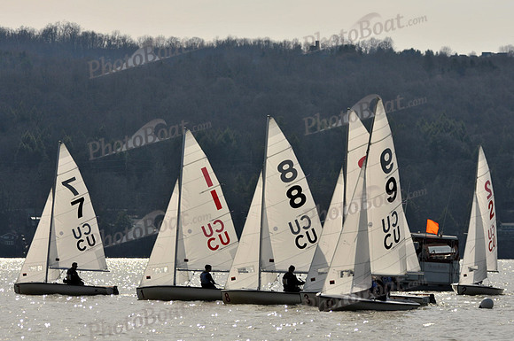 2011_Prosser_C 516