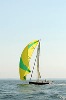2012 Vineyard Race A 431