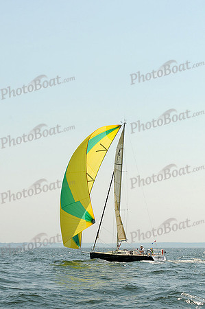 2012 Vineyard Race A 431