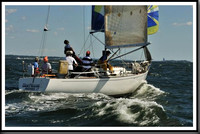 proof_2010_Vineyard_Race_0451