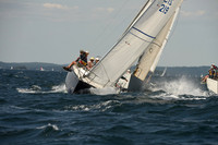 2016 Chester Race Week A_1449