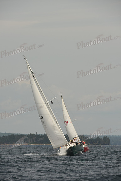 2016 Chester Race Week C_1258