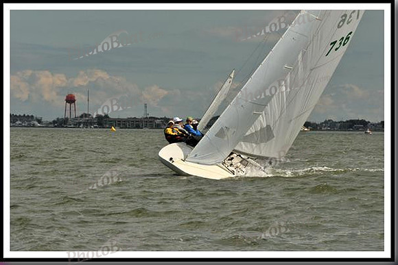 proof_2010_EScows_B 825