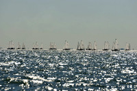 2012 Thistle Midwinters Ar_0003
