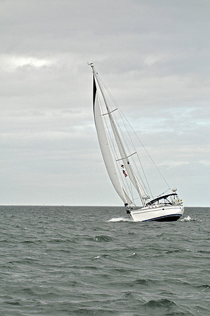 2009 J105 NAs D 1228