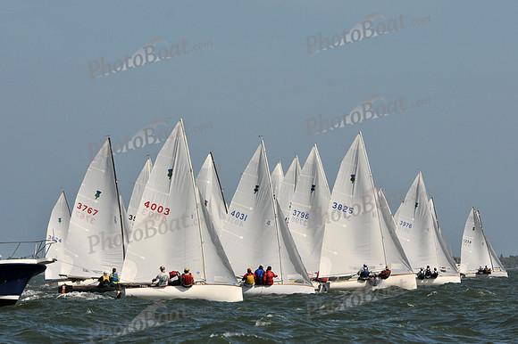 2012 Thistle Midwinters B 472