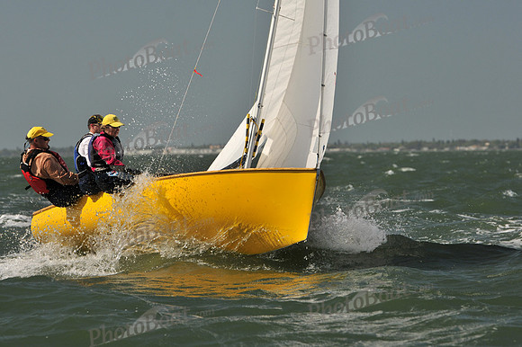 2012 Thistle Midwinters B 653