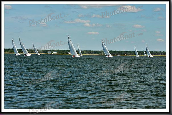 proof_2010_EScows_D 017