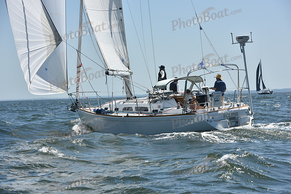 2019 Vineyard Race A_0793