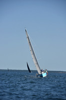 2021 Vineyard Race B 2002