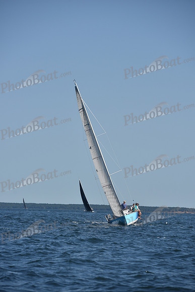 2021 Vineyard Race B 2002