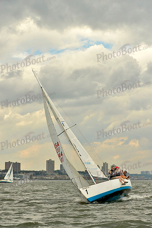 2017 NY Architects Regatta A_0257