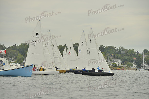 2016 Chester Race Week E_0195