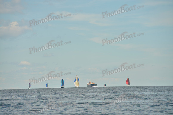 2016 Vineyard Race A_1195