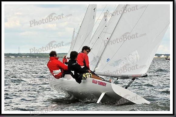 proof_2010_EScows_B 376
